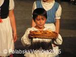 Folklorní festival Polabská Vonička