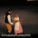 Folklorní festival Polabská Vonička