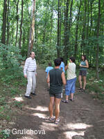 Sdružení pro pomoc mentálně postiženým