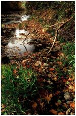 Fotoklub Příbor, Přátelé výtvarné fotografie