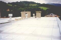 DENAS COLOR, a.s. - 46